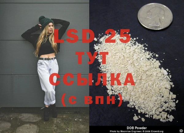 крисы Алексин