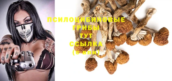 герыч Сатка