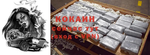 крисы Алексин