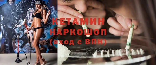 крисы Алексин